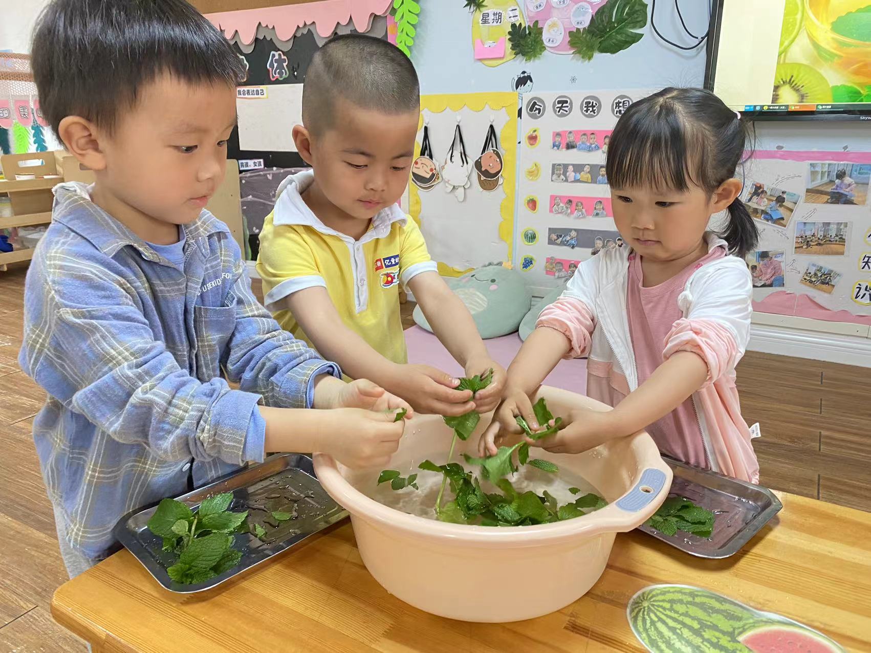 洗茶